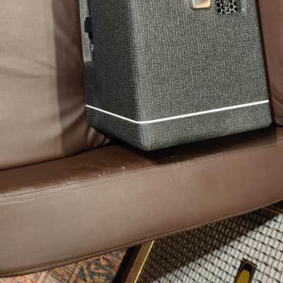 Morgan Amplification SW50R image 3