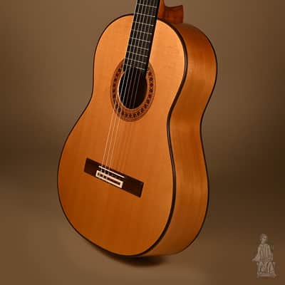 2011 Joseph Slack Flamenco Model image 9