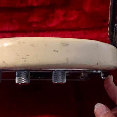 MusicMan Stingray 79 image 8