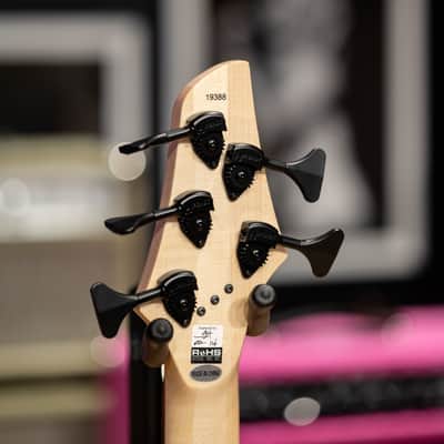 Dingwall Combustion C3 5-String - Whalepool Burst image 9