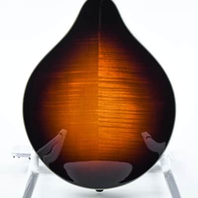 Eastman MD805 Sunburst image 8