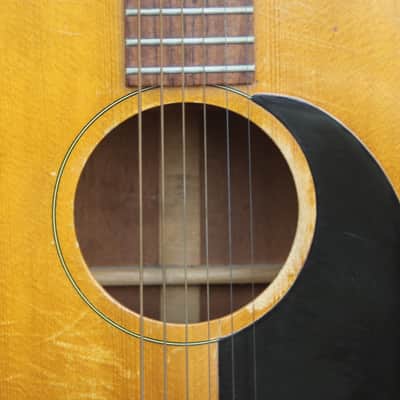 Gibson B20 1971 Natural image 5