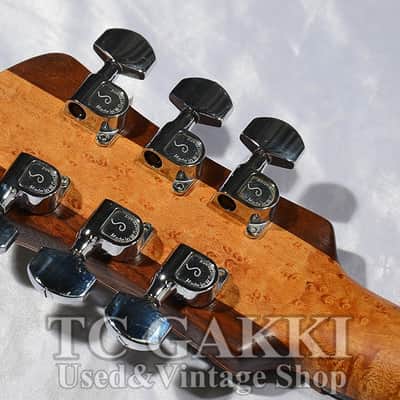 Spector USA G 1 image 8