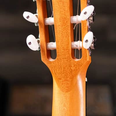 Taylor 212ce-N Plus Nylon Grand Concert Acoustic/Electric Guitar with Aerocase image 6