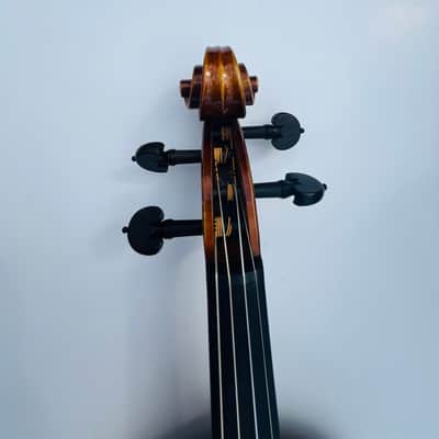 Fine Italian labeled Violin Stefano Scarampella di Brecia Fece In Mantova 1855 image 24