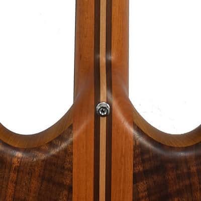 Alembic Brown Bass image 8