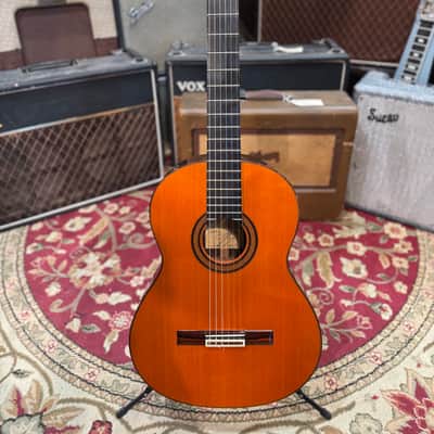 1979 Jose Ramirez 1A Classical Guitar image 1