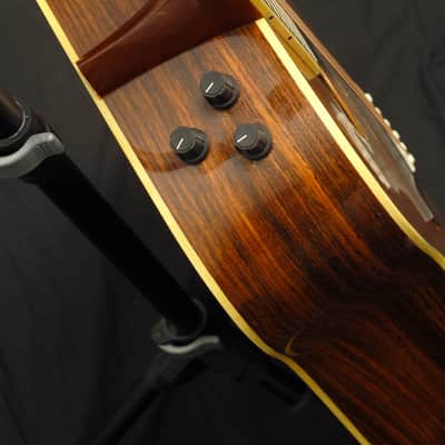 Wayne Henderson Custom John Cephas Dreadnought Guitar, 1991 (used) image 10