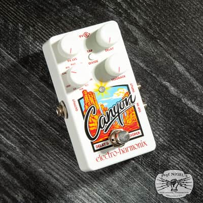 Electro-Harmonix Canyon Delay & Looper Effects Pedal - Authorized Dealer image 2