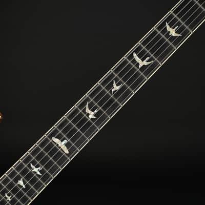 PRS Wood Library DGT 10 Top, Stained Maple Neck in Burnt Maple Leaf #252678 - Pre-Owned image 5
