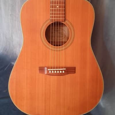Hoyer Master Series guitar image 2