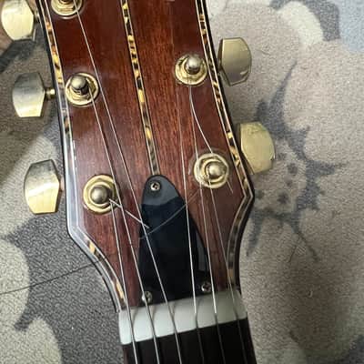 Carlo Robelli CBW4041CN Acoustic Electric Guitar Nice Inlay & Cutaway image 12