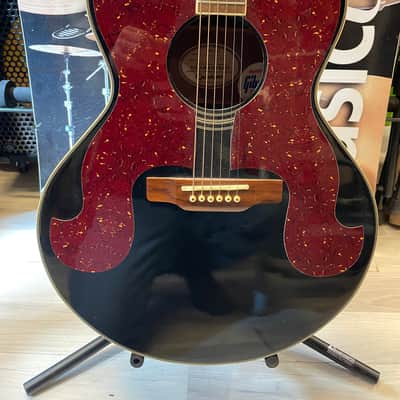 EPIPHONE DON EVERLY SQ-180 acoustic guitars