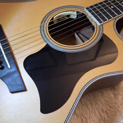 Nice! Orangewood Sage Live w LR Baggs Anthem System & Case - Natural Satin image 5