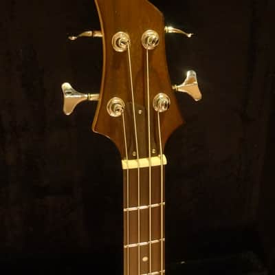 Left Handed 2017 Acrylic Bass guitar image 9