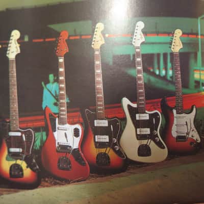 vintage 1968 Fender catalog ON THE GO 45 p. booklet stratocaster telecaster pedal steel amplifiers banjoes accessories paper case candy image 17