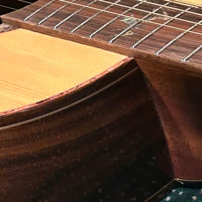 Washburn Bella Elegante S24S Solid Spruce Top Parlor Size Acoustic Guitar image 15