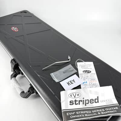 Immagine 2021 EVH Striped Series – Black & White - 14