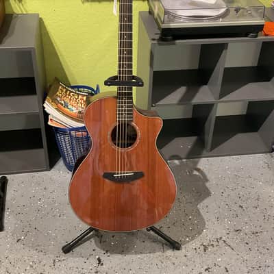 Breedlove Premier Concerto Ce Re w/case image 1