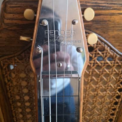 Fender Organ Button Lap Steel Collectors Grade 1940s image 3