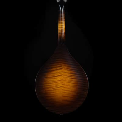 Collings MT-O, Black Gloss Top, Engelmann, Maple - NEW image 5