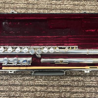 Haynes Amadeus 500 - Silver plated image 1