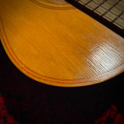 Vintage 1965 Giannini Model 6 image 5