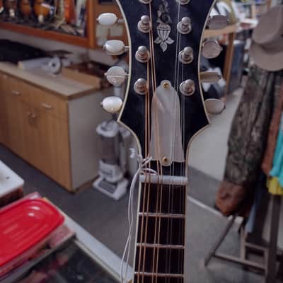 Randy Wood F-5 2025 - Gloss sunburst image 3