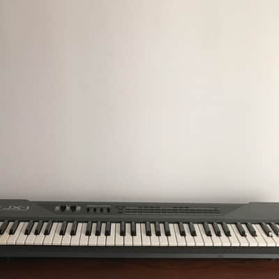 Roland JX-1 61-Key Performance Synthesizer 220V + Original Boss Power Supply