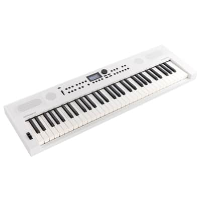 Roland GO:KEYS 5 61-Note Music Creation Keyboard with ZEN-Core Engine, Microphone Input, and 300 Ready-to-Play Presets (White) image 3
