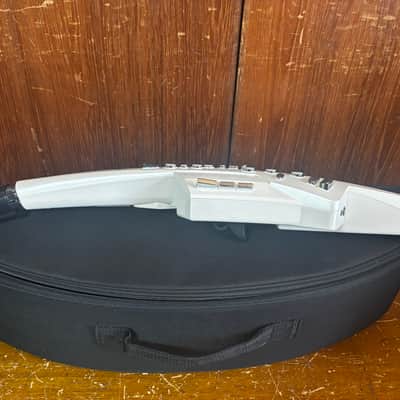 Roland Aerophone AE-10 Digital Wind Instrument white w/ bag image 8