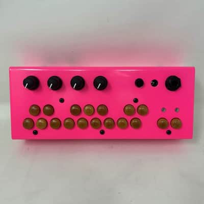 Critter & Guitari Bolsa Bass | Reverb