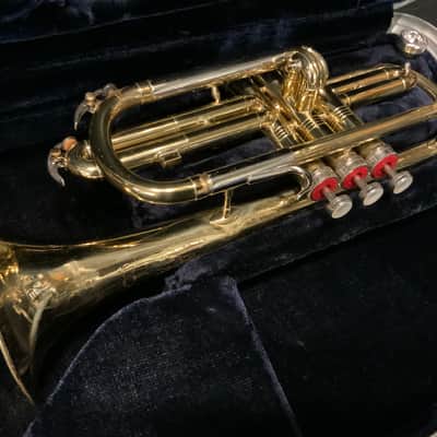 Conn Director Cornet image 10
