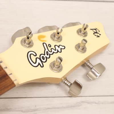 Godin BG-V (BG-5) 5 String Bass Guitar (AS IS) Project For Parts image 4