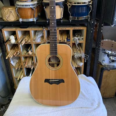 Bozo Model B60 Acoustic Guitar image 1