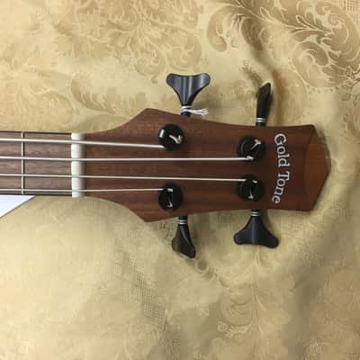 Gold Tone M-Bass25 Fretted 25" Micro Bass w/Gig Bag- Setup w/ La Bella Silver Backs! image 3