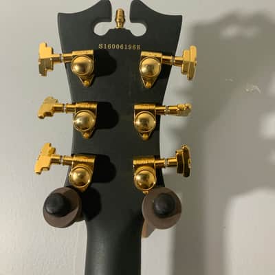 D'Angelico Deluxe SS Semi-Hollow body Susan Tedeschi owned guitar image 7
