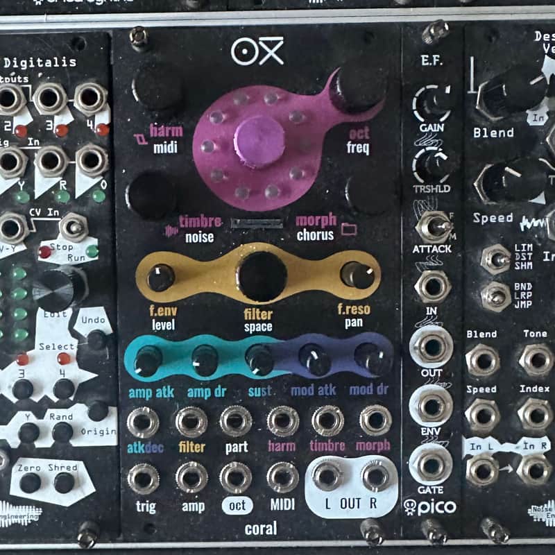OXI Coral 2023 - Black image 1
