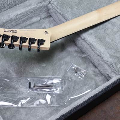 ESP LTD George Lynch | Desert Eagle Camo image 17