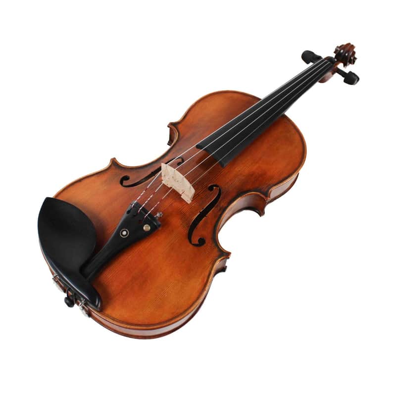 Unbranded 4/4 Violin