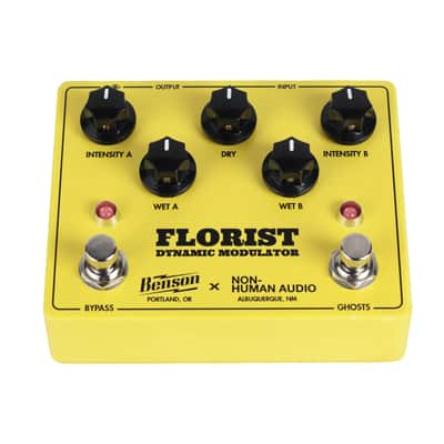 Benson Amps / Non-Human Audio Florist Dynamic Modulator image 13