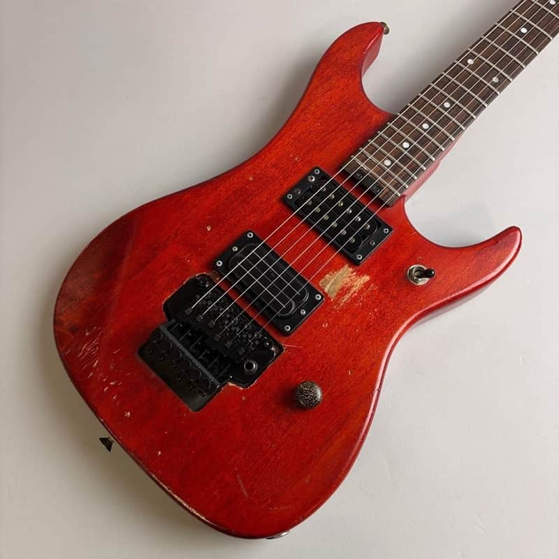 Washburn N2 image 1