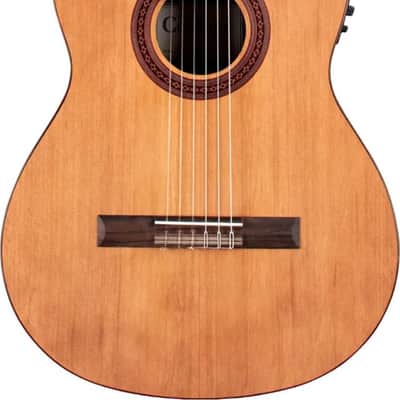 NEW Cordoba C5-CE LH, Support Small Business and Buy It Here! We Love Love Handed Players! image 2