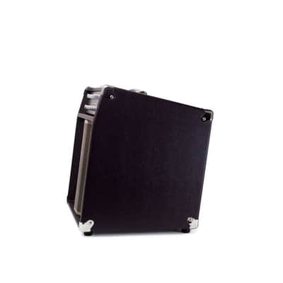 Genzler Amplification Acoustic Array Pro combo image 2
