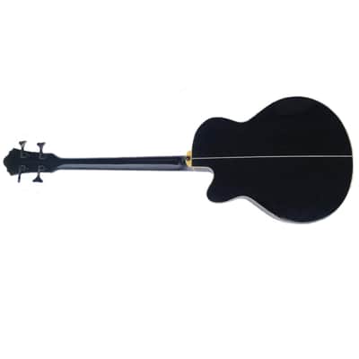 IBANEZ BASS - SIGNED BY BRIAN WILSON - The David Leach Collection image 4