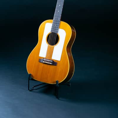 Gibson F-25 1965 image 5