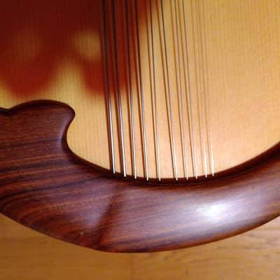 Liuto cantabile (mandocello 5 courses) image 10