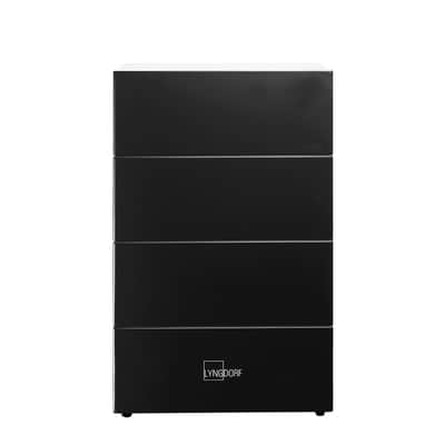 LYNGDORF BW-20 - Passive Boundary Woofer - NEW! image 3