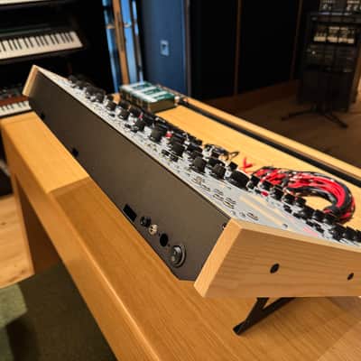 LA 67 Mort's Barge + Counterparts (Buchla 100 clone) image 3