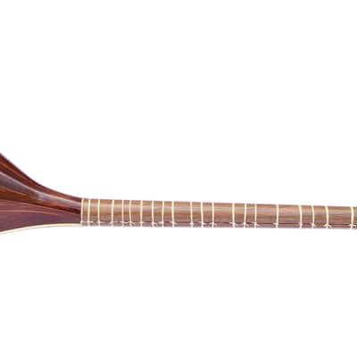 Persian Shourangiz Shurangiz Surangiz String Musical Instrument SHM-3 image 6